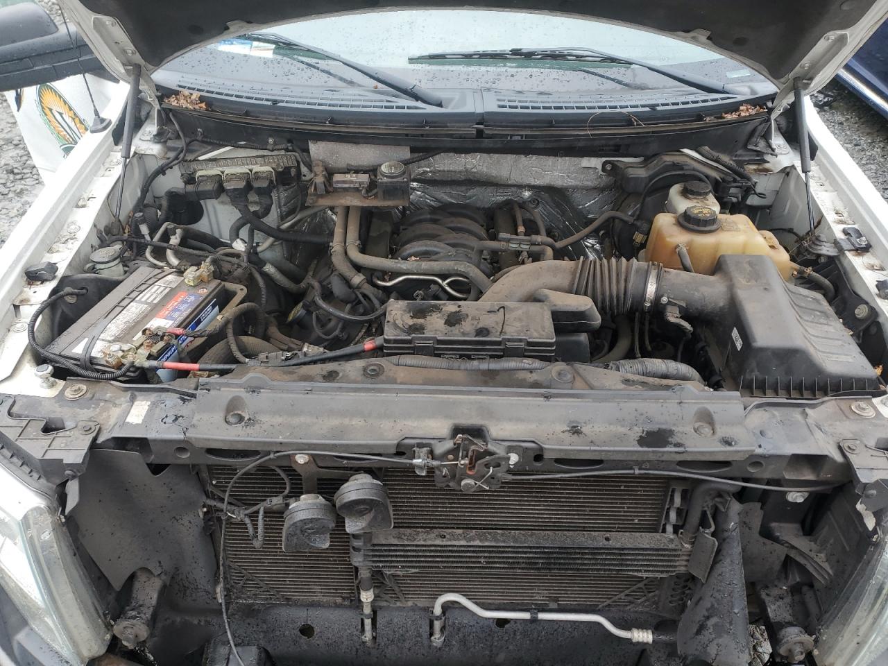 2013 Ford F-150 VIN 1FTFW1EF4DKD91126 Copart auction photo, minor dent/scratches damage thumbnail 11