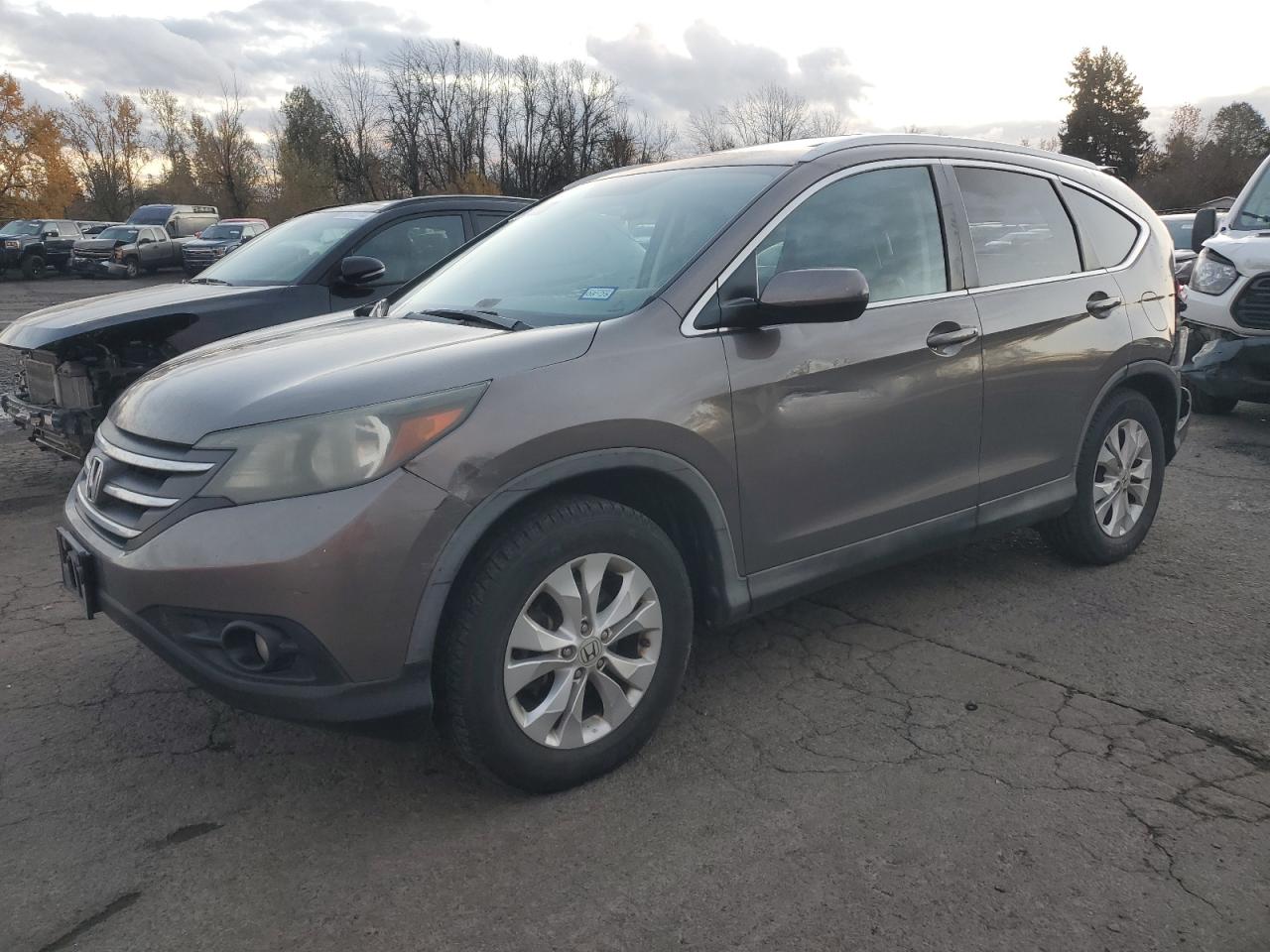 2013 Honda CR-V VIN 5J6RM3H77DL040783