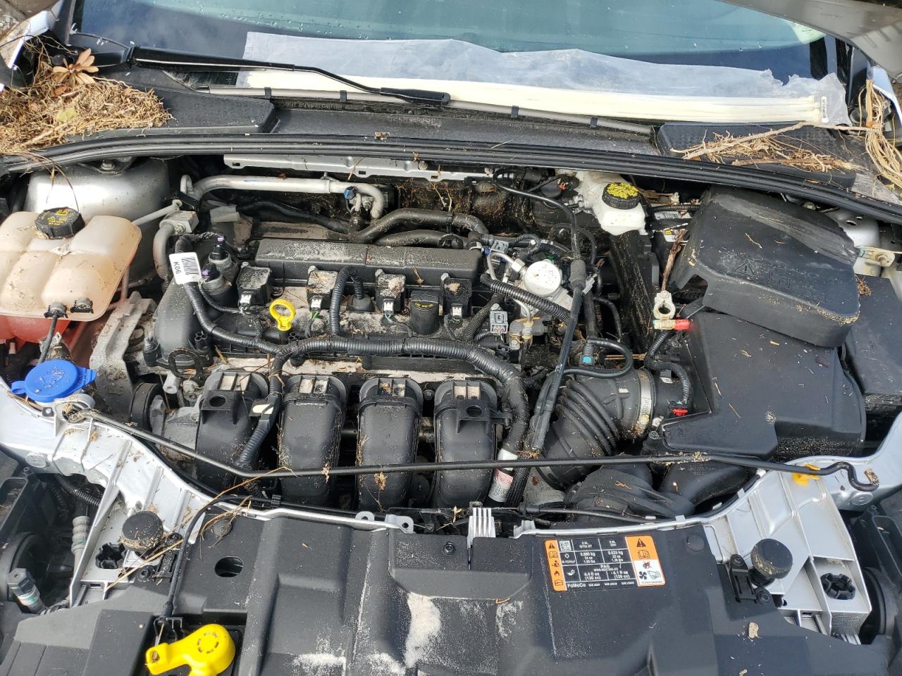 2017 Ford Focus VIN 1FADP3K29HL294723 Copart auction photo, water/flood damage thumbnail 11