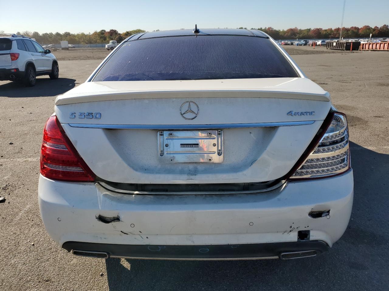 2010 Mercedes-Benz S-klasse VIN WDDNG8GB1AA337804 Copart auction photo, rear end / front end damage thumbnail 6