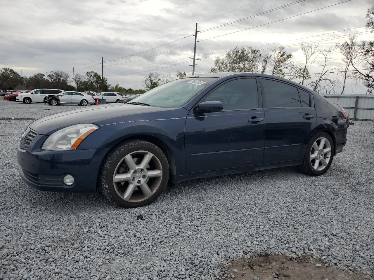 2005 Nissan Maxima VIN 1N4BA41E25C860842