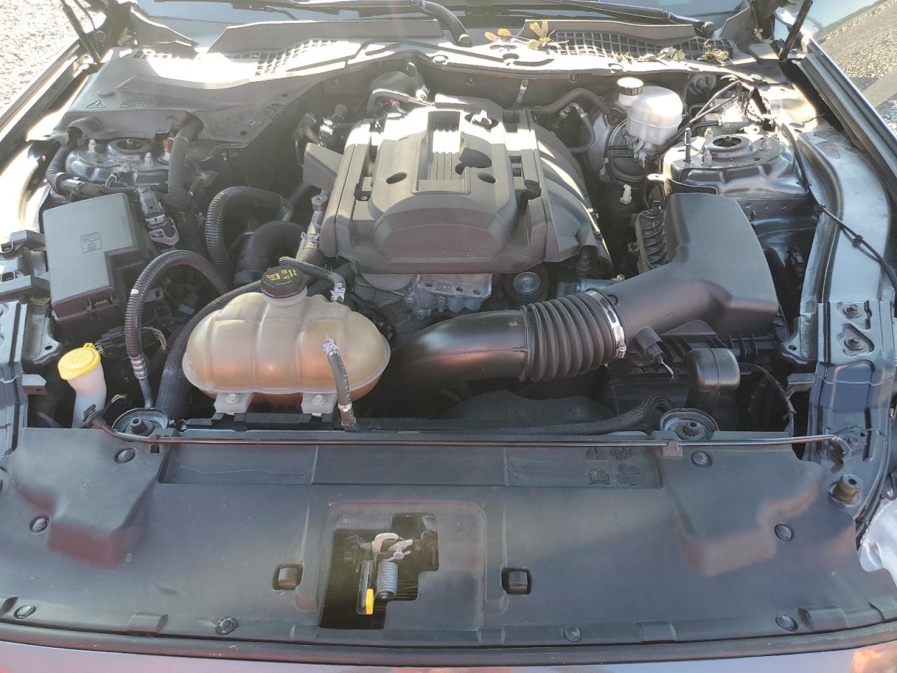 2019 Ford Mustang VIN 1FA6P8THXK5134080 Copart auction photo, water/flood / minor dent/scratches damage thumbnail 11