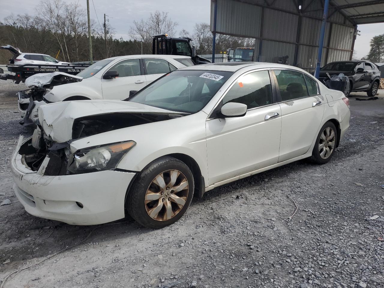 2010 Honda Accord VIN 5KBCP3F84AB017850