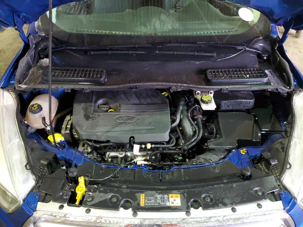 2017 Ford Escape VIN 1FMCU0GD7HUC38695 Copart auction photo, minor dent/scratches damage thumbnail 12