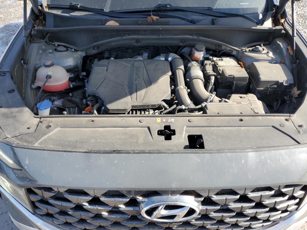2021 Hyundai Santa Fe VIN 5NMS5DAL5MH368500 Copart auction photo, side damage thumbnail 12