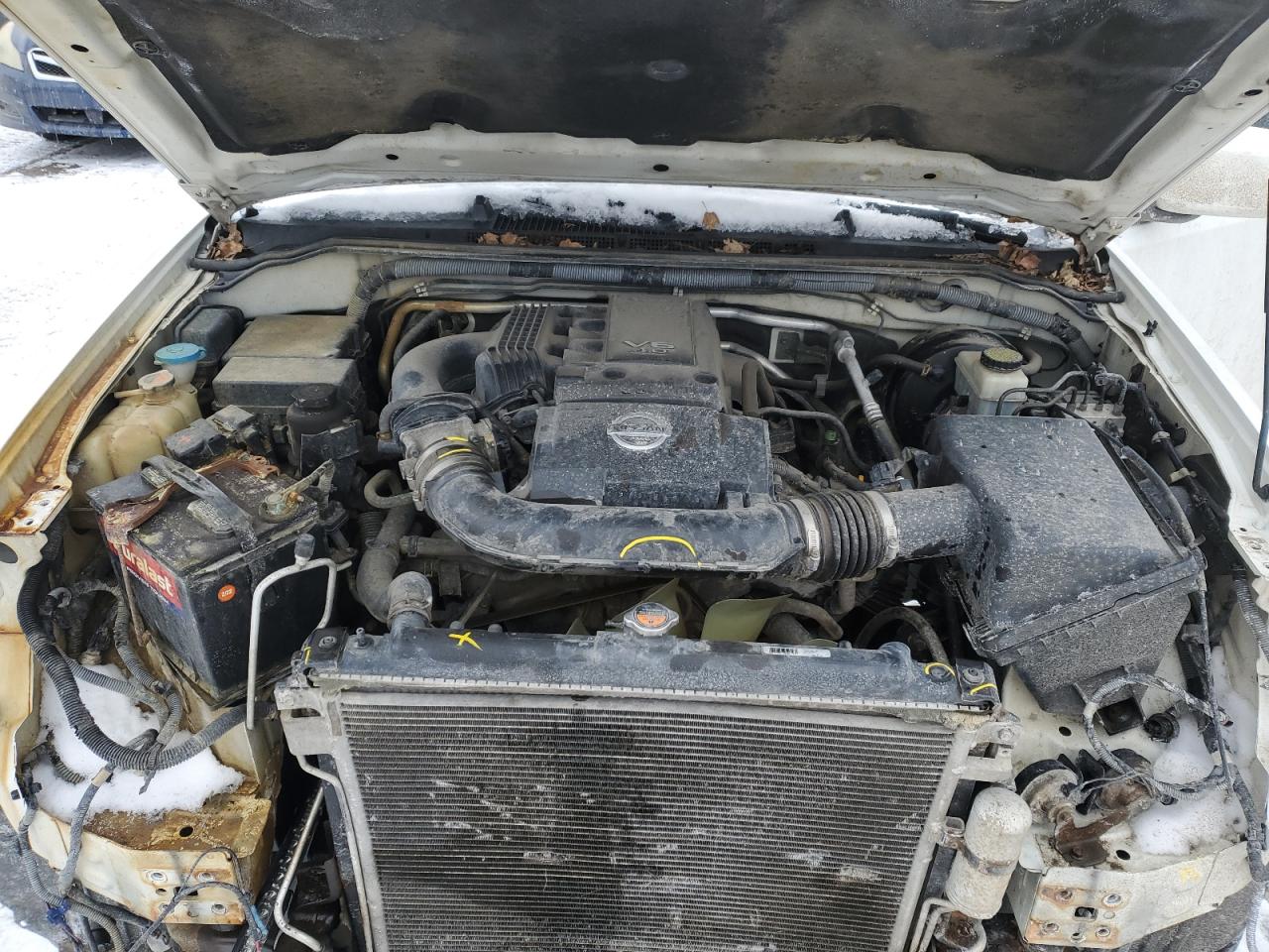 2012 Nissan Navara (Frontier) VIN 1N6AD0EV5CC462731 Copart auction photo, front end damage thumbnail 11