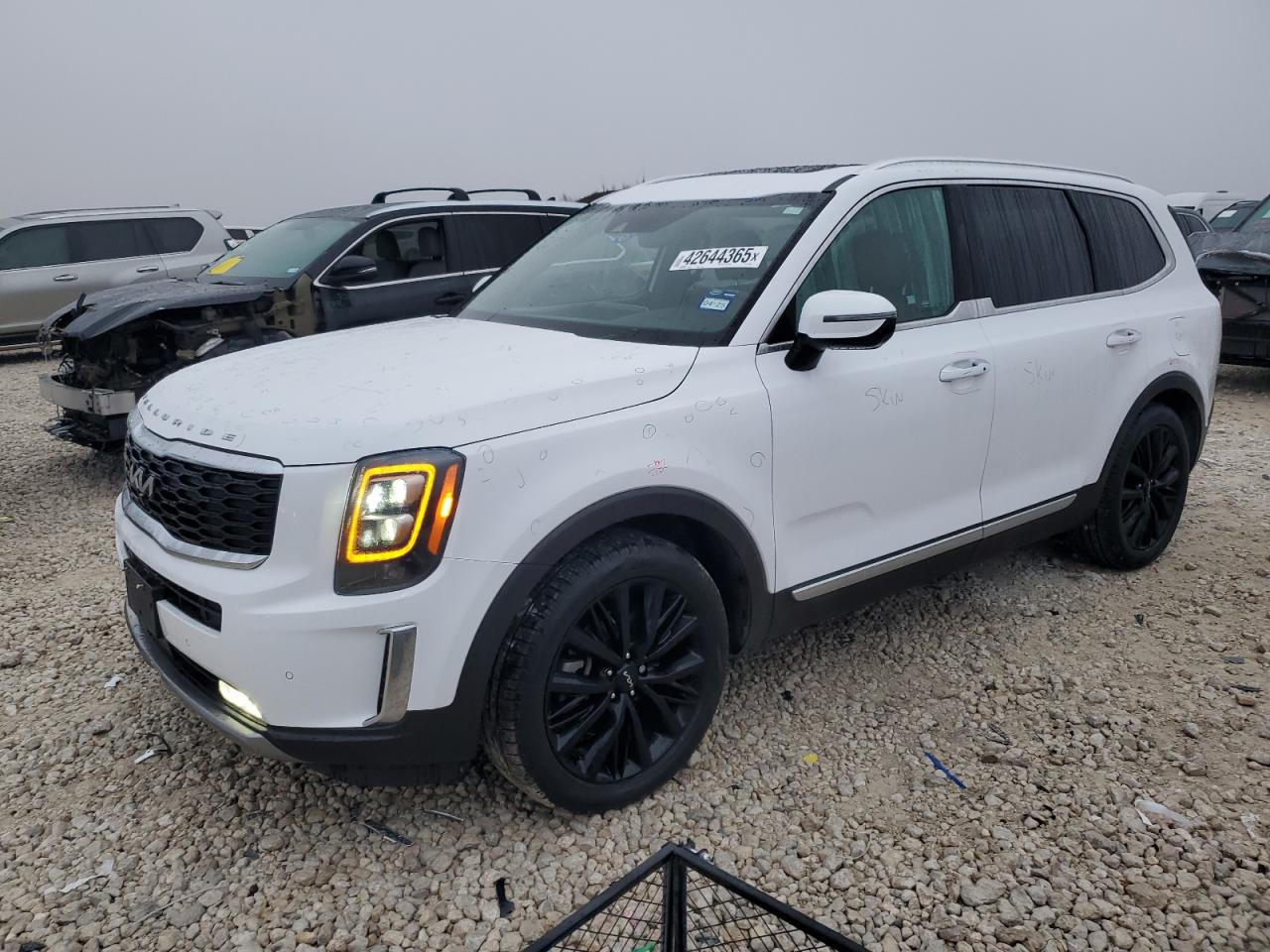 2022 KIA Telluride VIN 5XYP54HC8NG268057