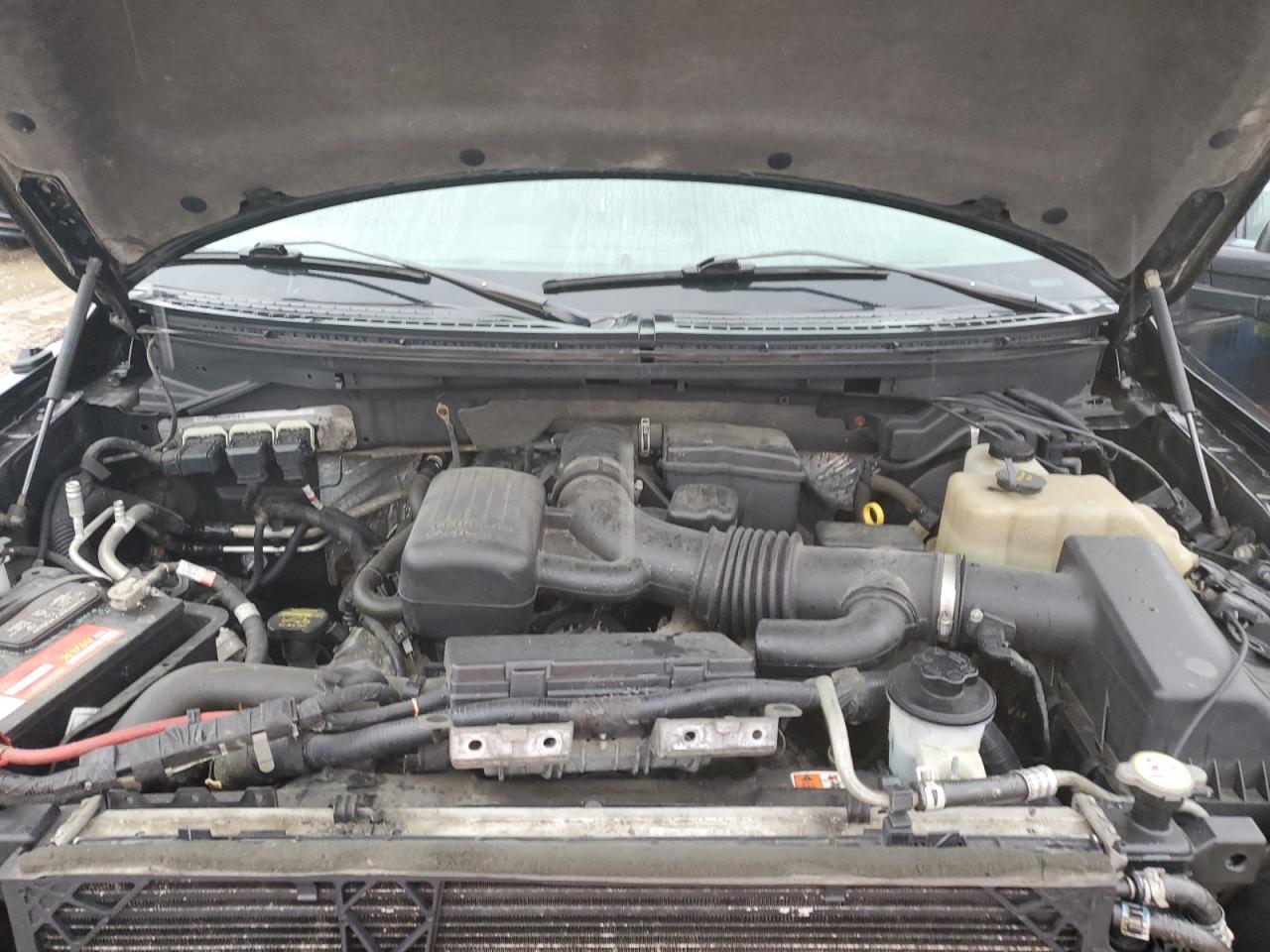 2010 Ford F-150 VIN 1FTFX1EV8AFA56329 Copart auction photo, front end damage thumbnail 12