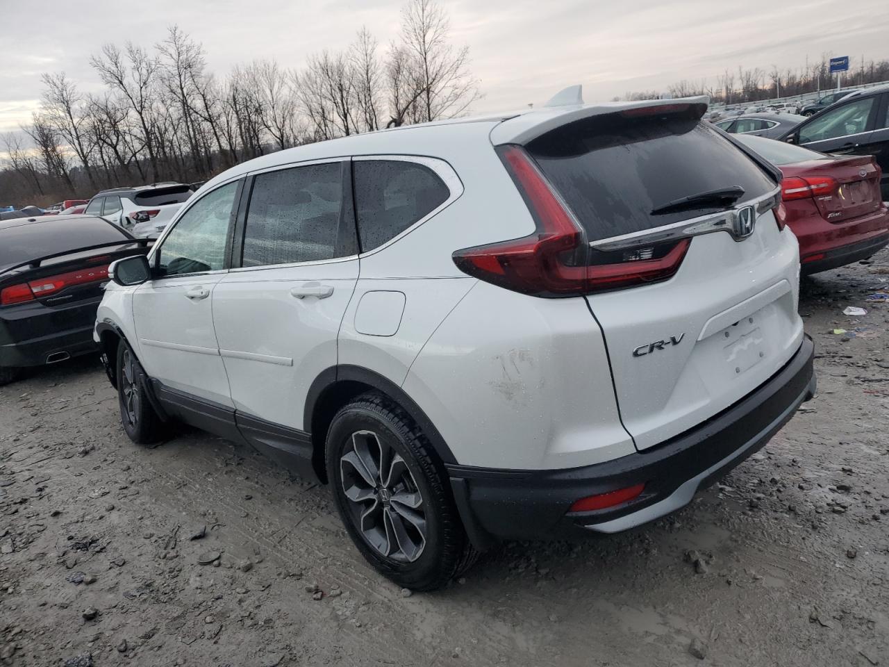 2021 Honda CR-V VIN 7FARW2H80ME013189 Copart auction photo, front end damage thumbnail 2