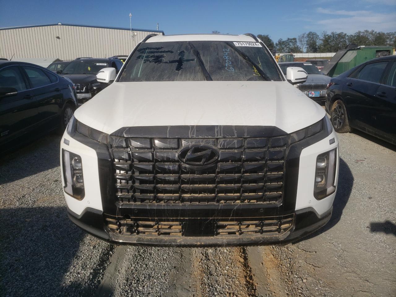 2024 Hyundai Palisade VIN KM8R7DGE2RU670842 Copart auction photo, water/flood damage thumbnail 5