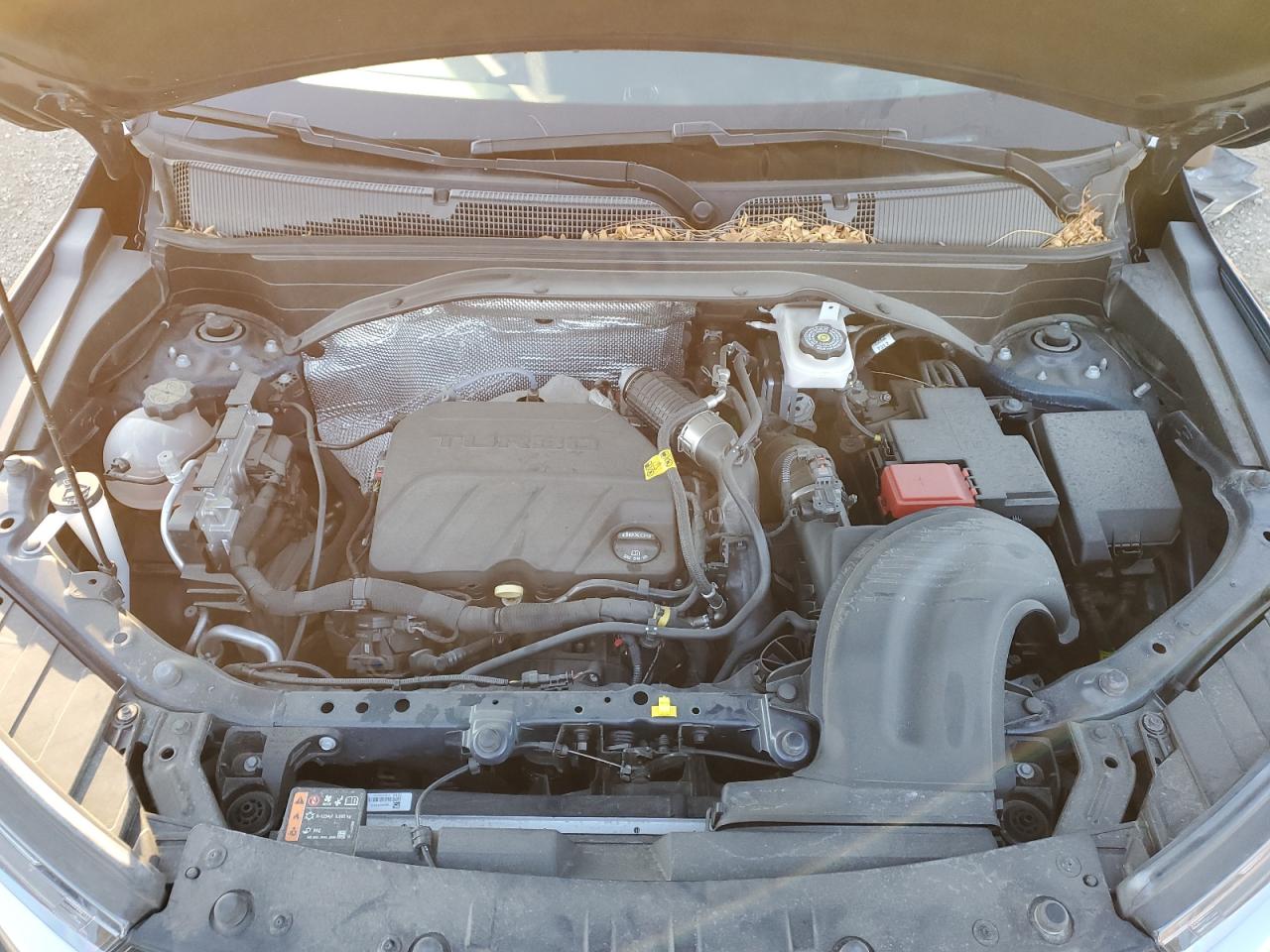 2022 Chevrolet TrailBlazer VIN KL79MPS24NB007495 Copart auction photo, side damage thumbnail 12