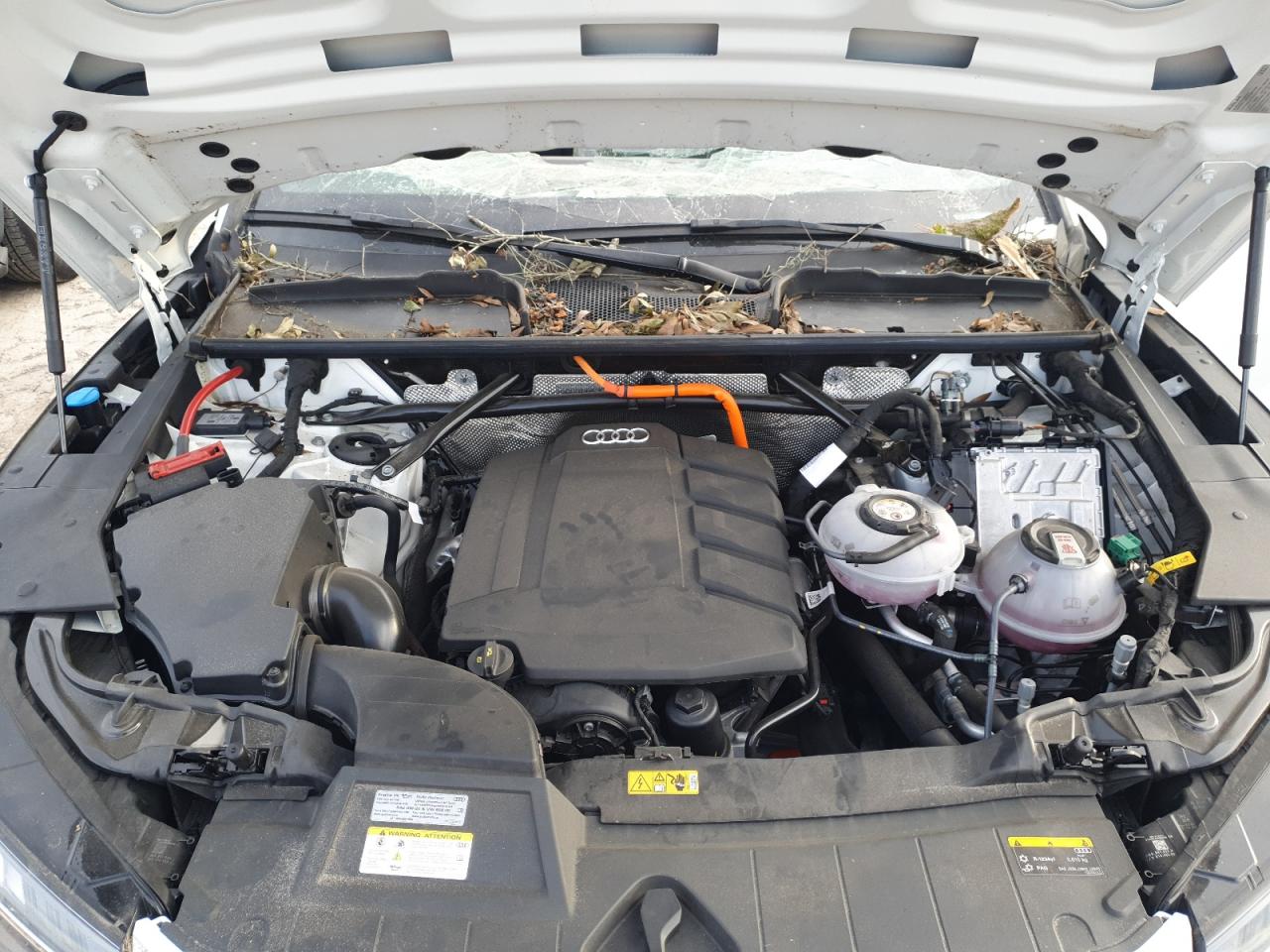 2023 Audi Q5 VIN WA1E2AFY4P2148552 Copart auction photo, top/roof damage thumbnail 11