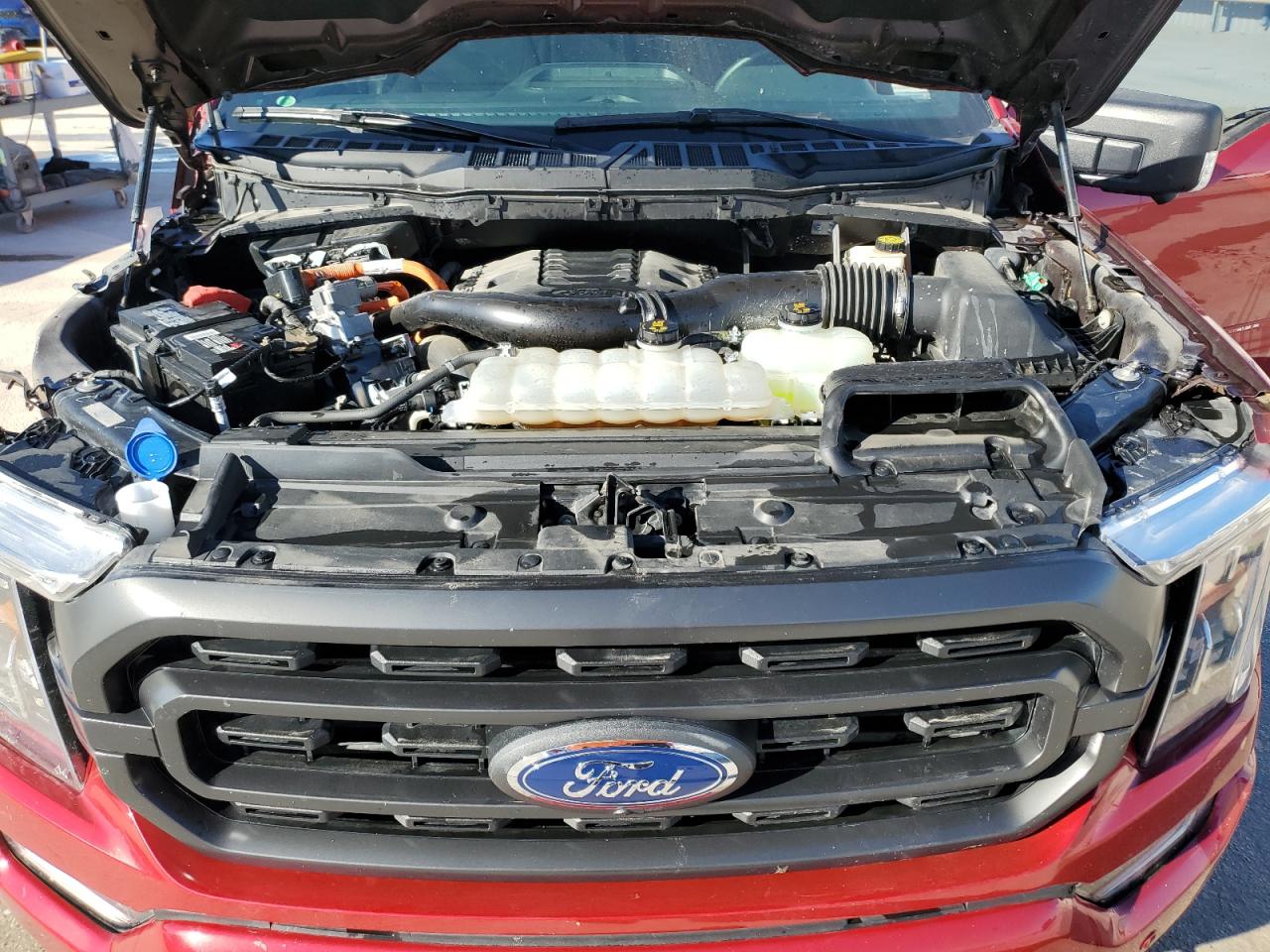 2021 Ford F-150 VIN 1FTFW1EDXMFC29492 Copart auction photo, front end / minor dent/scratches damage thumbnail 11