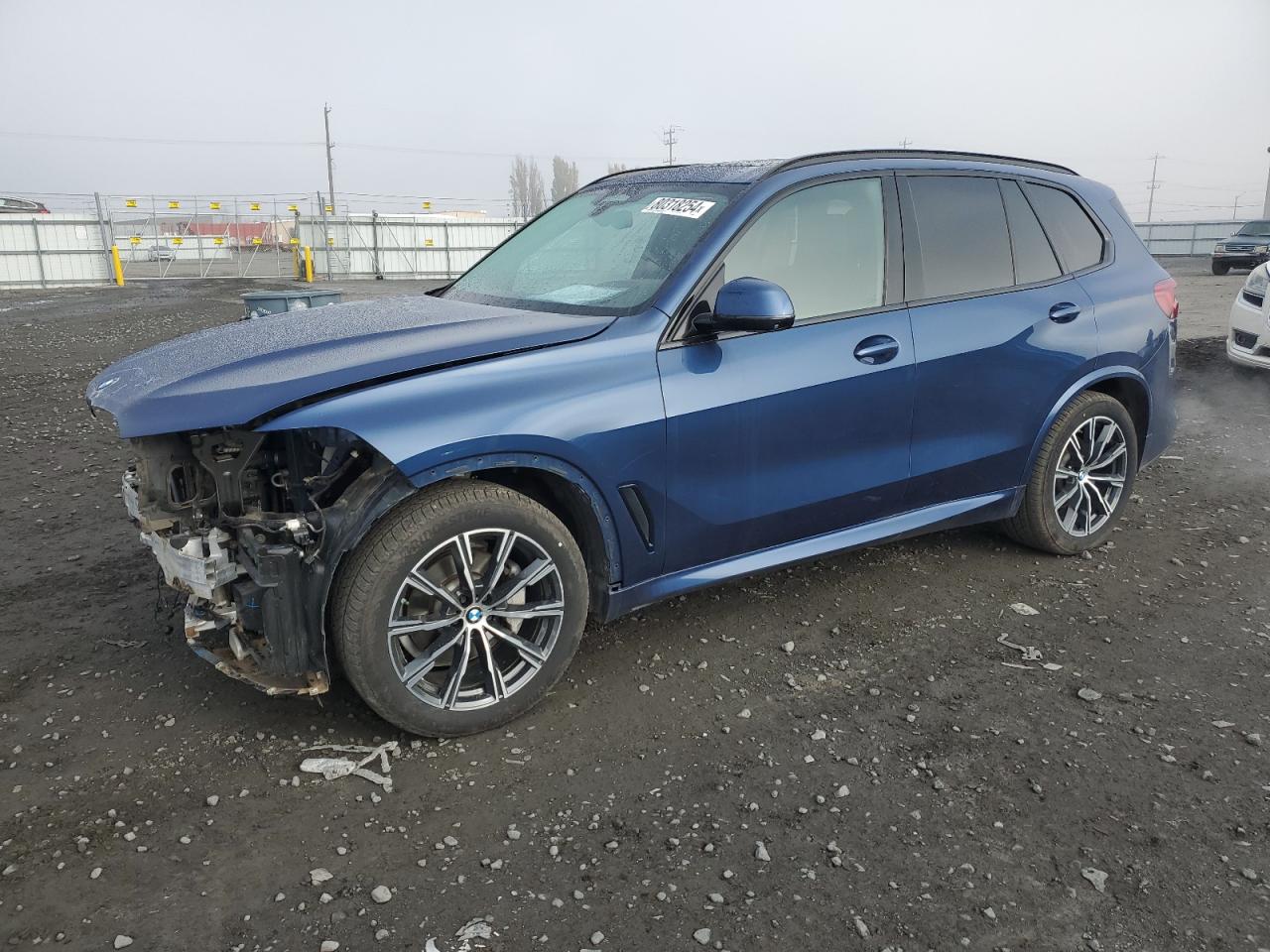 2020 BMW X5 VIN 5UXCR6C01L9B96324