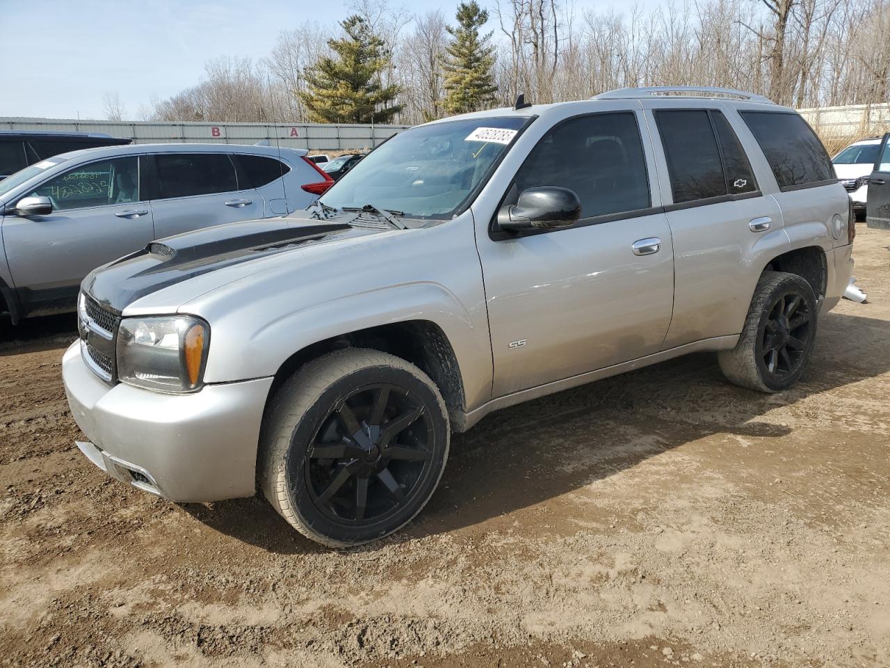 2008 Chevrolet TrailBlazer VIN 1GNET13M482257607