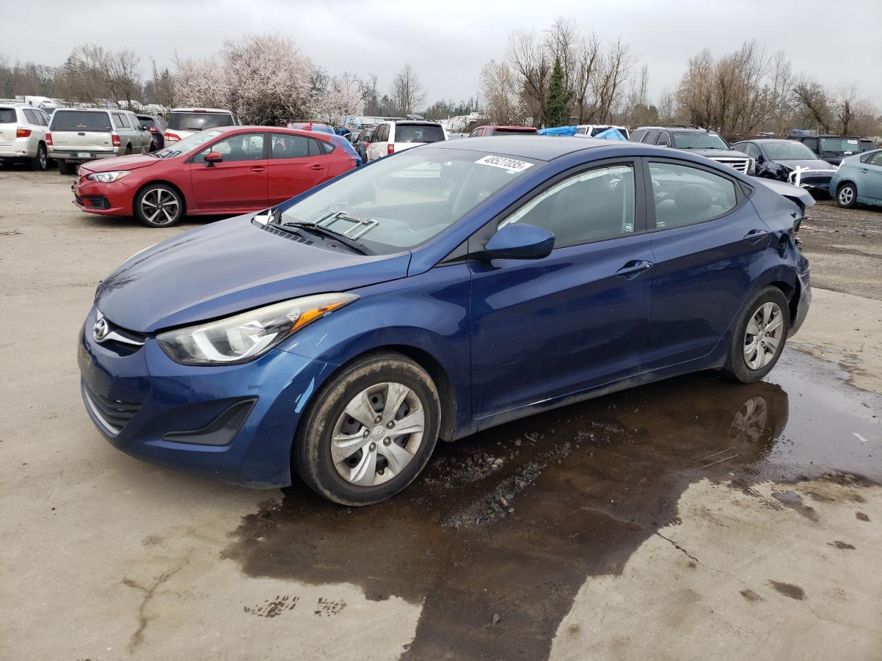 2016 Hyundai Elantra VIN 5NPDH4AE9GH744981