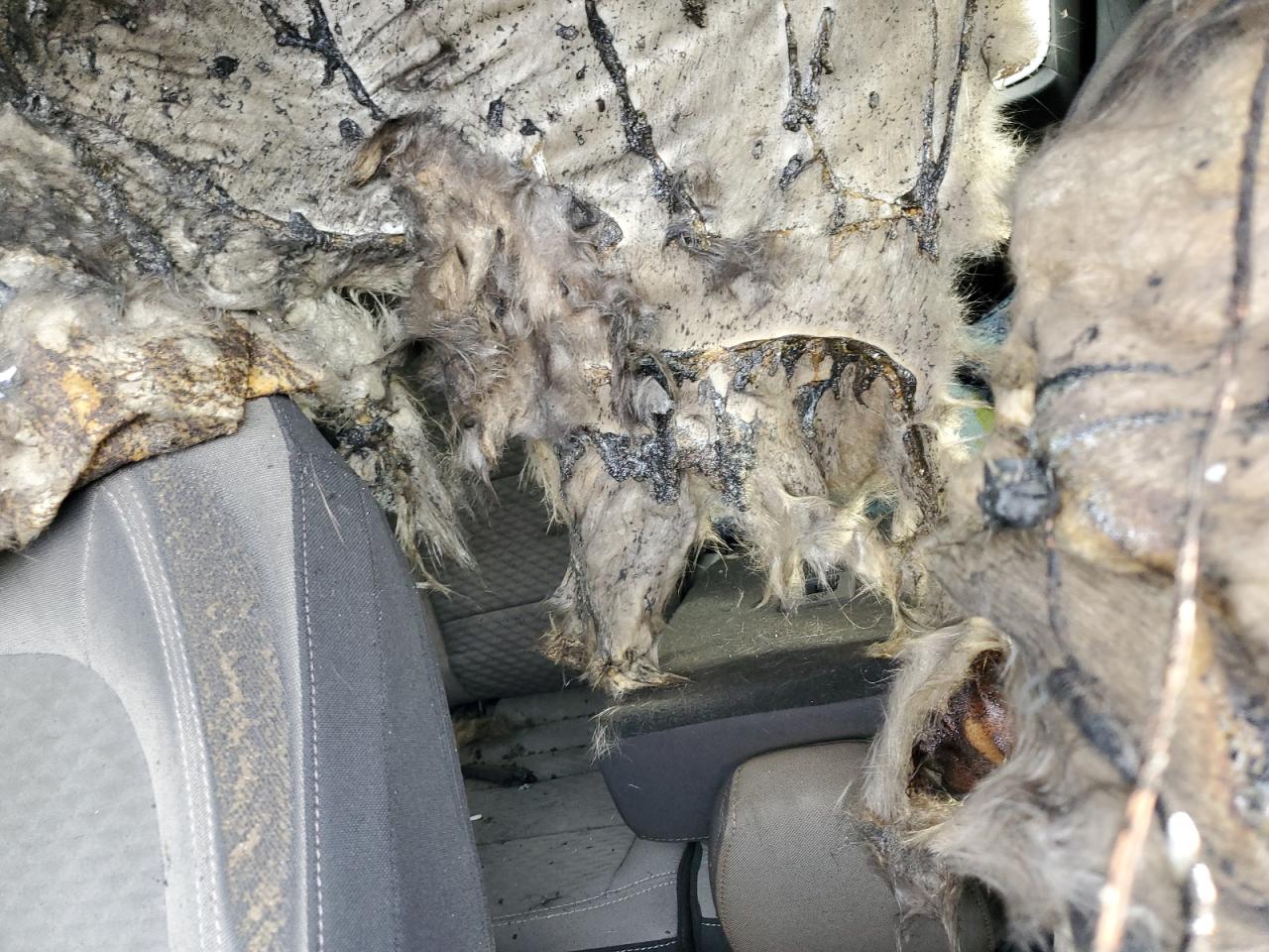2022 Ford Escape VIN 1FMCU9G63NUB69165 Copart auction photo, burn - engine / missing/altered vin damage thumbnail 10