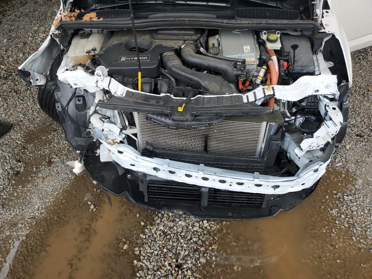 2015 Ford C-MAX VIN 1FADP5AU0FL100110 Copart auction photo, front end damage thumbnail 11