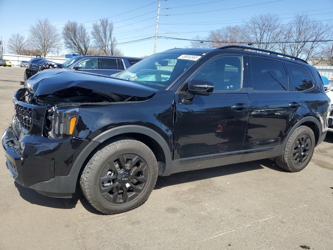 2024 KIA Telluride VIN 5XYP5DGC0RG437270 - Copart auction photo