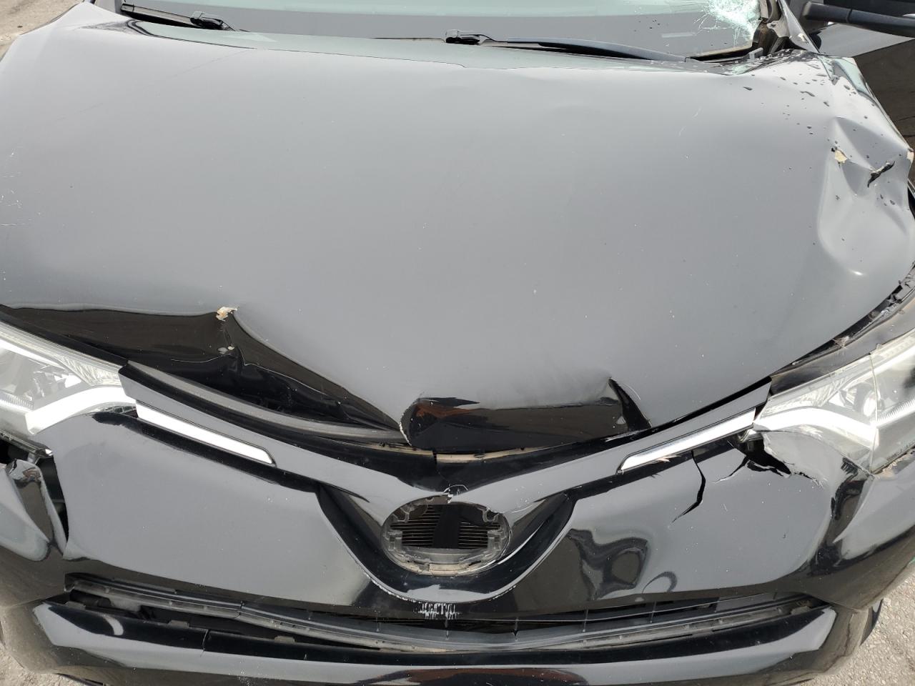 2016 Toyota RAV 4 VIN 2T3RFREV0GW445150 Copart auction photo, front end / side damage thumbnail 12