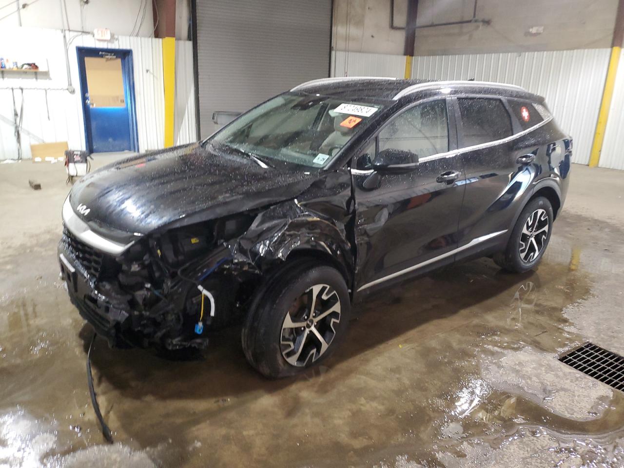 2024 KIA Sportage VIN 5XYK3CDF6RG211324