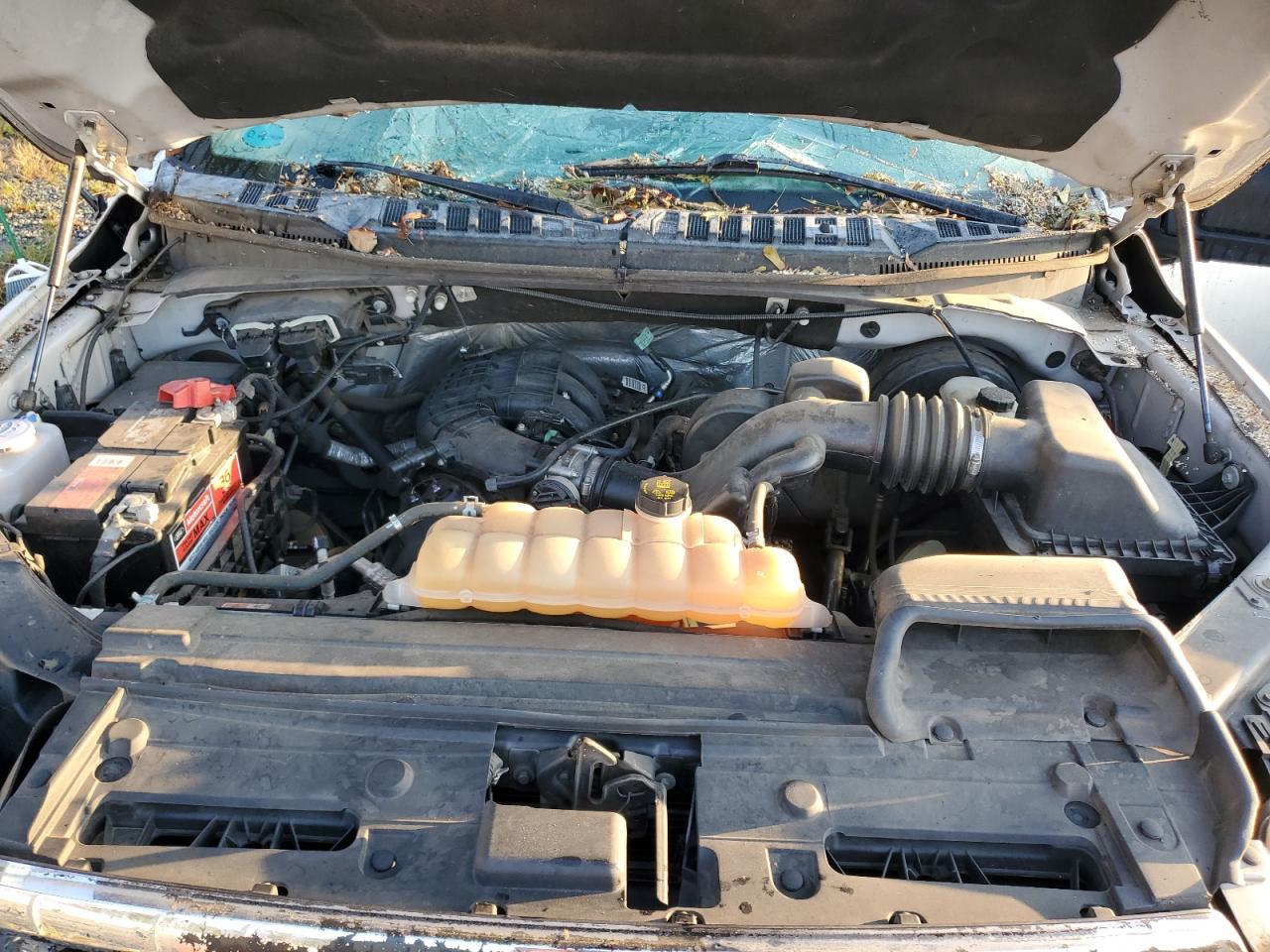 2016 Ford F-150 VIN 1FTEX1C85GFC64816 Copart auction photo, top/roof damage thumbnail 11