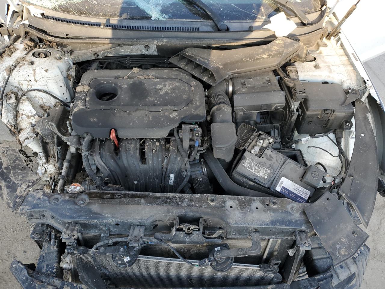 2019 Hyundai Sonata VIN 5NPE24AF7KH801332 Copart auction photo, biohazard/chemical / rollover damage thumbnail 12