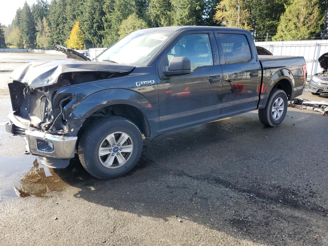 2016 Ford F-150 VIN 1FTEW1EF3GKE97521