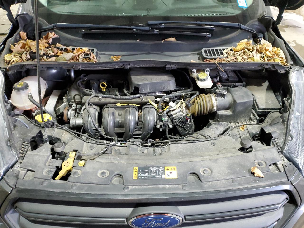 2018 Ford Escape VIN 1FMCU0F76JUD53614 Copart auction photo, side damage thumbnail 12