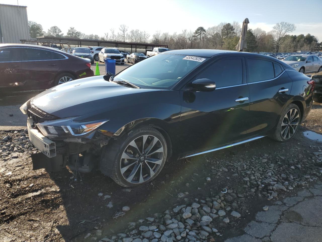 2016 Nissan Maxima VIN 1N4AA6AP6GC403821