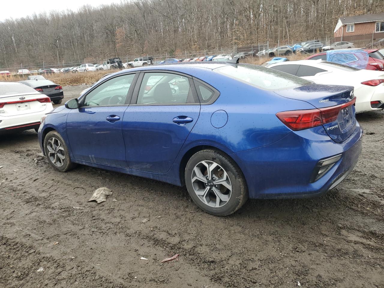 2019 KIA Forte VIN 3KPF24AD0KE024807 Copart auction photo, vandalism damage thumbnail 2
