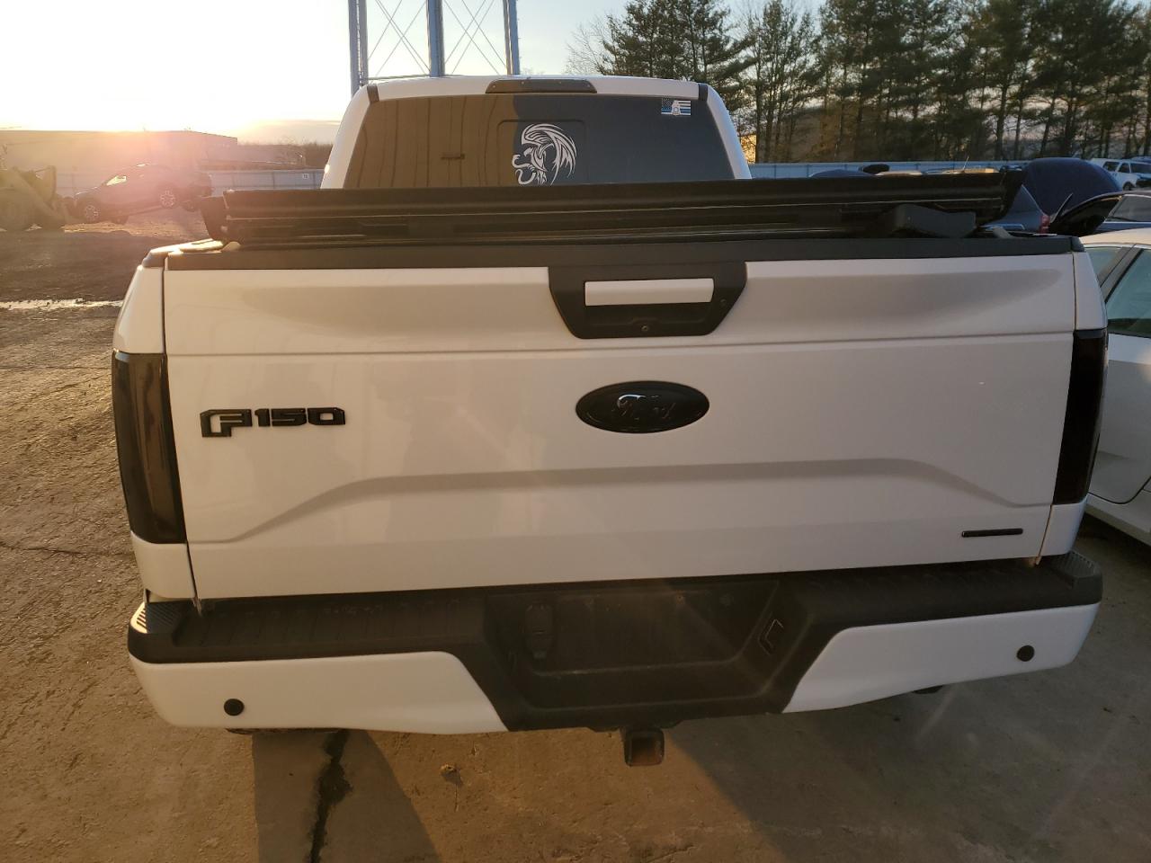 2016 Ford F-150 VIN 1FTFW1EF6GFD23648 Copart auction photo, side damage thumbnail 6