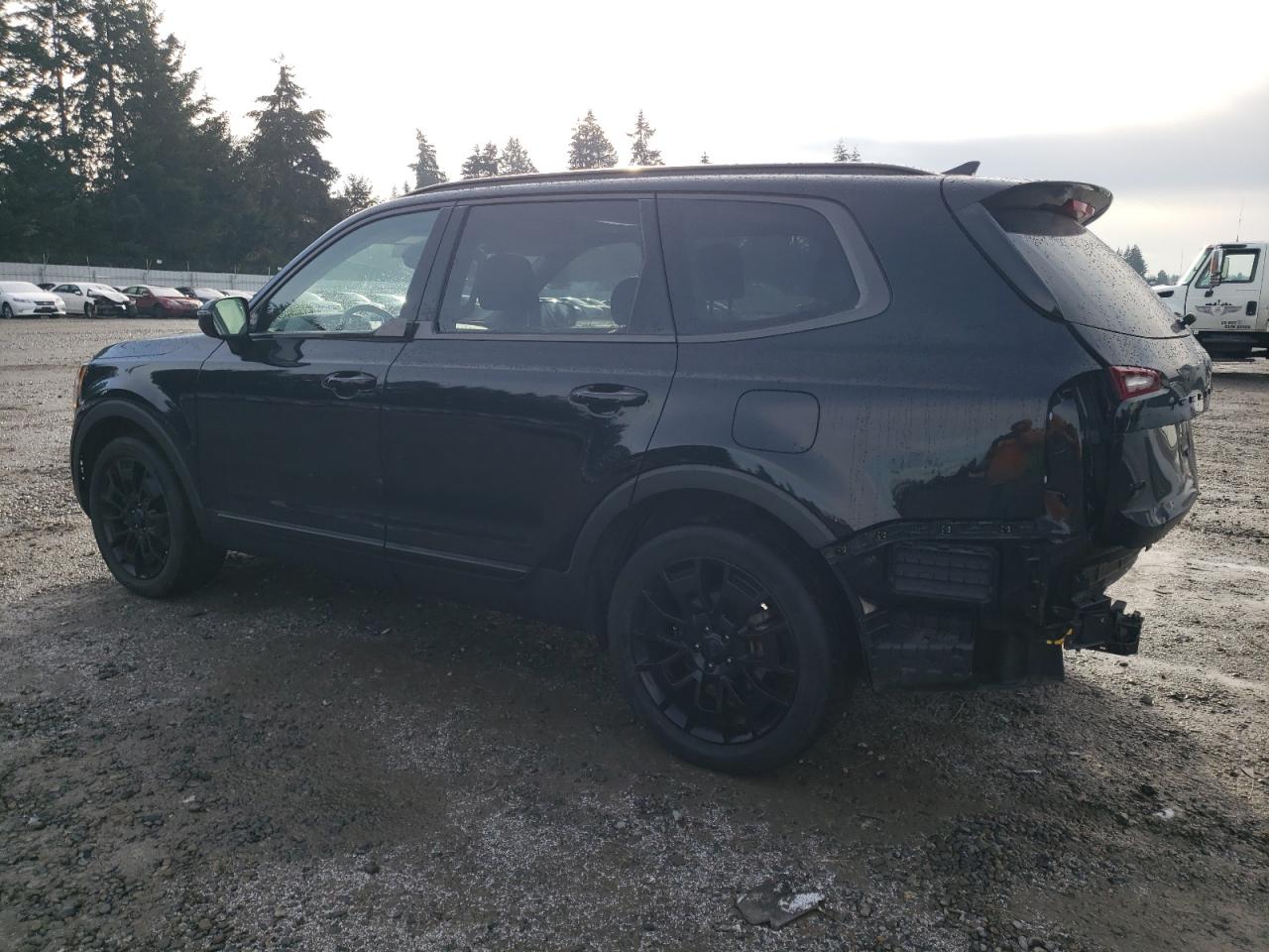 2021 KIA Telluride VIN 5XYP5DHC7MG186299 Copart auction photo, rear end / side damage thumbnail 2