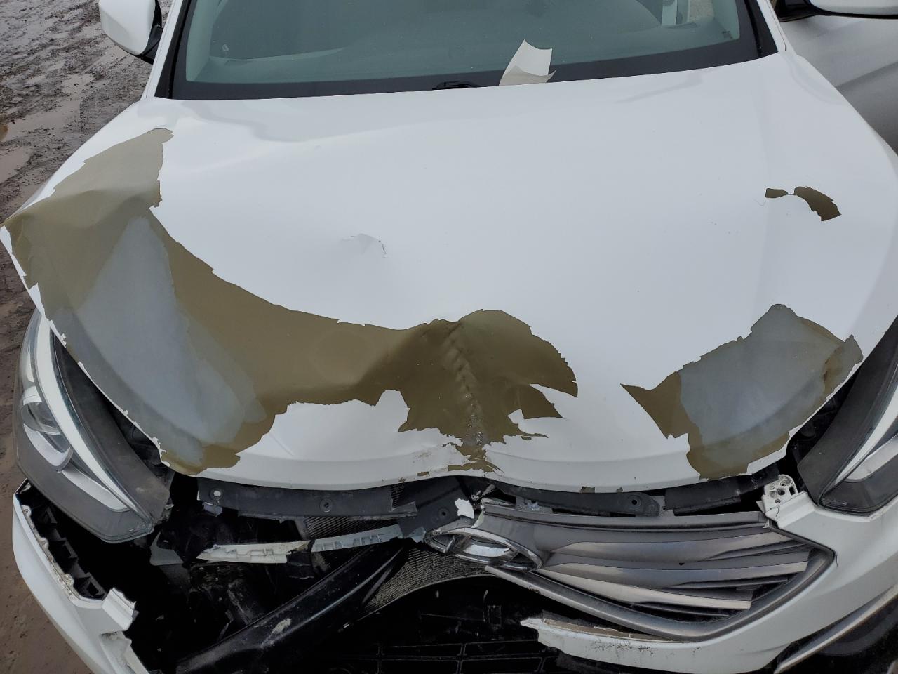 2017 Hyundai Santa Fe VIN 5NMZTDLB2HH020975 Copart auction photo, front end damage thumbnail 14