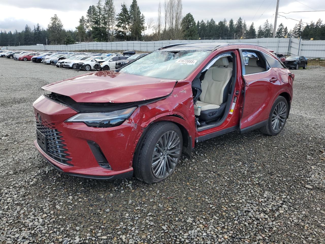 2024 Lexus RX VIN 2T2BAMCA6RC046982