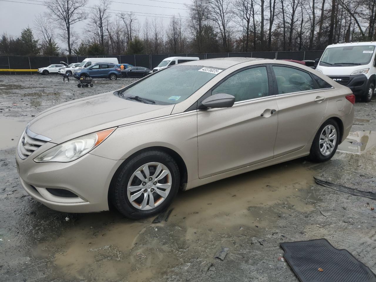 2011 Hyundai Sonata VIN 5NPEB4AC8BH246459