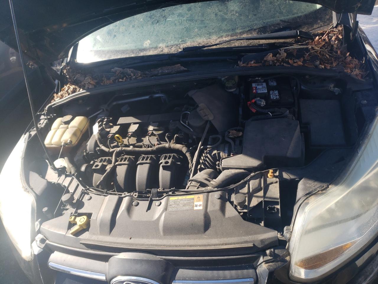 2014 Ford Focus VIN 1FADP3K2XEL152201 Copart auction photo, front end damage thumbnail 11