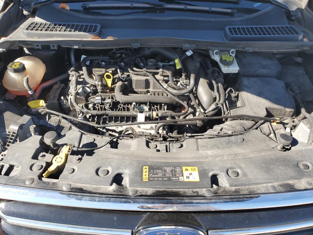 2019 Ford Escape VIN 1FMCU9GD5KUB70019 Copart auction photo, hail damage thumbnail 11