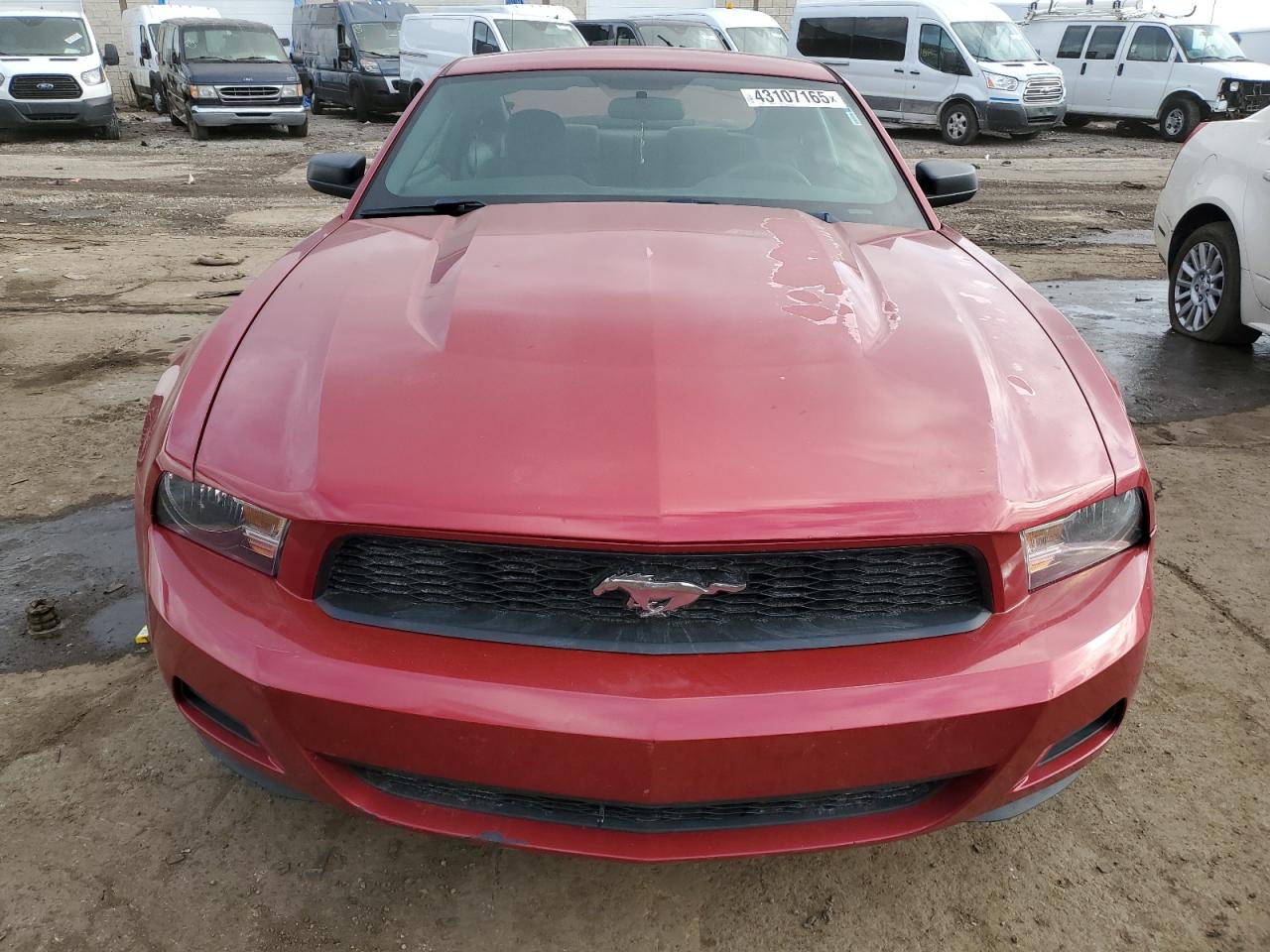2010 Ford Mustang VIN 1ZVBP8AN4A5156234 Copart auction photo, rear end damage thumbnail 5