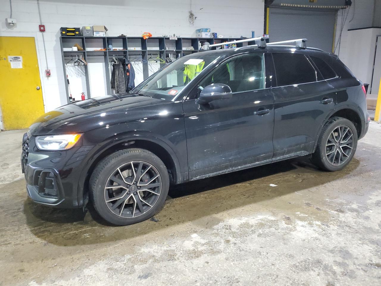 2024 Audi SQ5 VIN WA1B4AFY9R2151494 - Copart auction photo