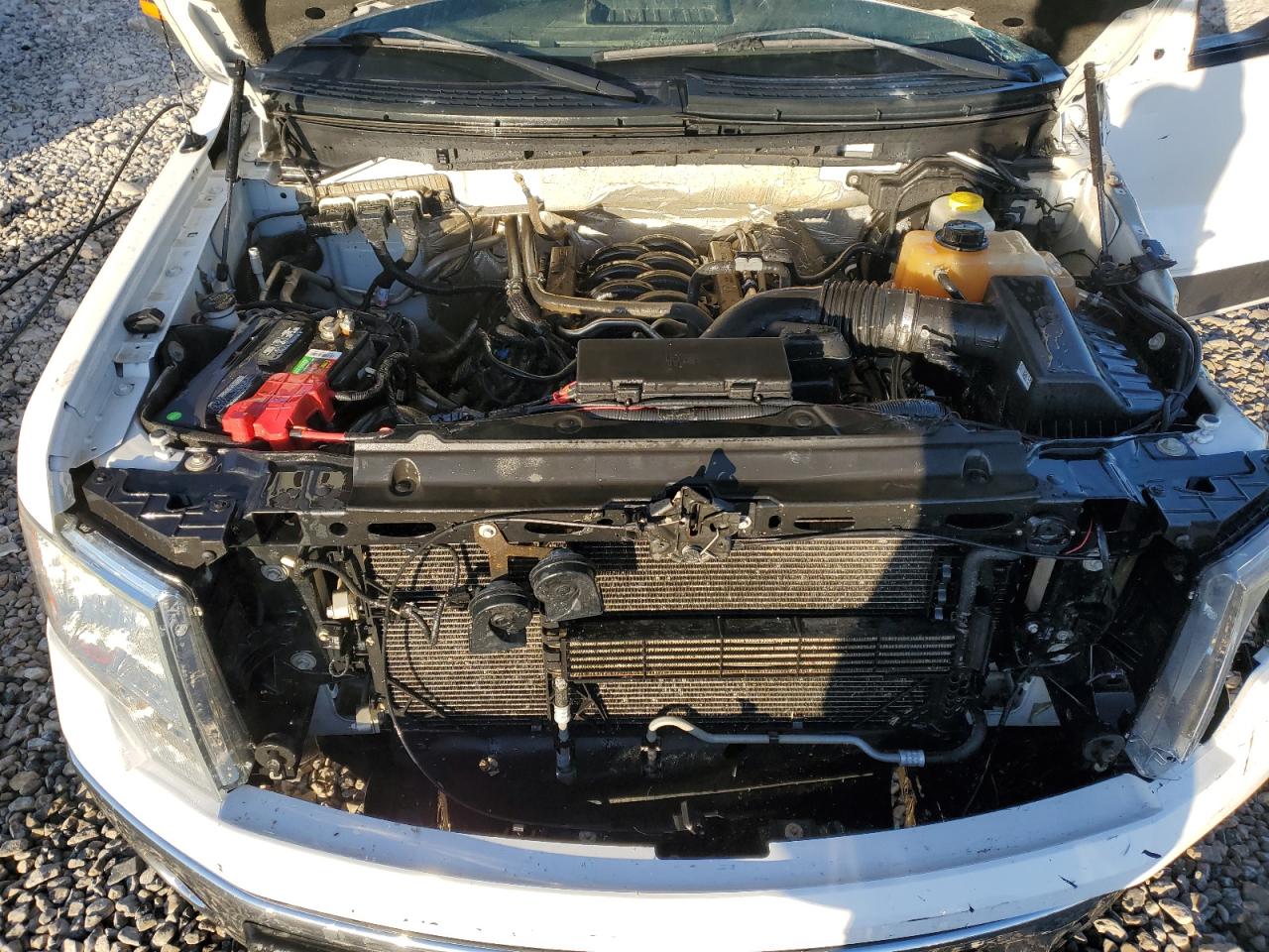 2014 Ford F-150 VIN 1FTFW1EF3EKD35020 Copart auction photo, front end damage thumbnail 11