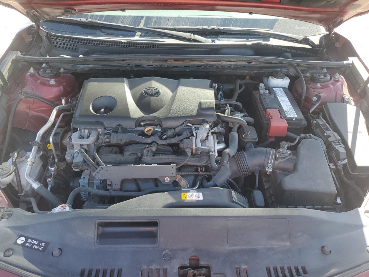 2019 Toyota Camry VIN 4T1B11HK3KU718604 Copart auction photo, hail damage thumbnail 11