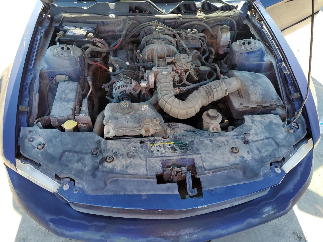 2010 Ford Mustang VIN 1ZVBP8ANXA5175256 Copart auction photo, rear end damage thumbnail 11