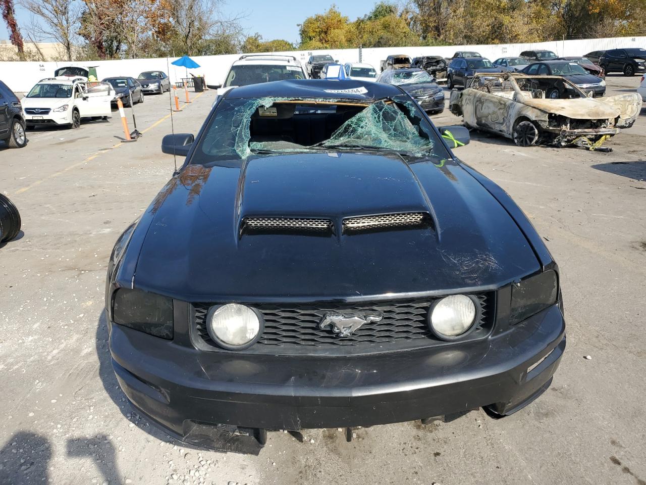 2007 Ford Mustang VIN 1ZVHT82H975240198 Copart auction photo, top/roof / all over damage thumbnail 5
