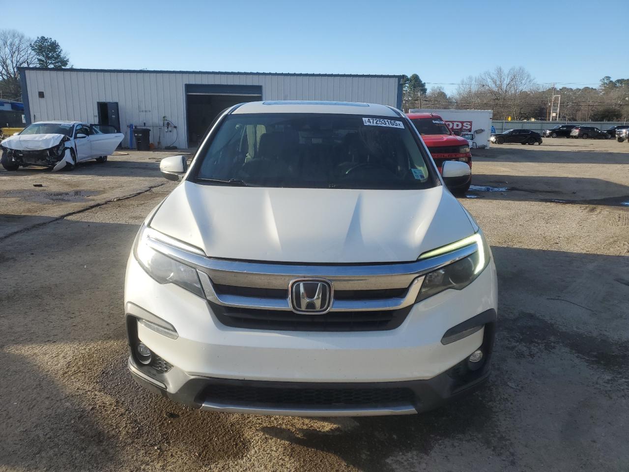 2019 Honda Pilot VIN 5FNYF6H52KB068244 Copart auction photo, side / minor dent/scratches damage thumbnail 5