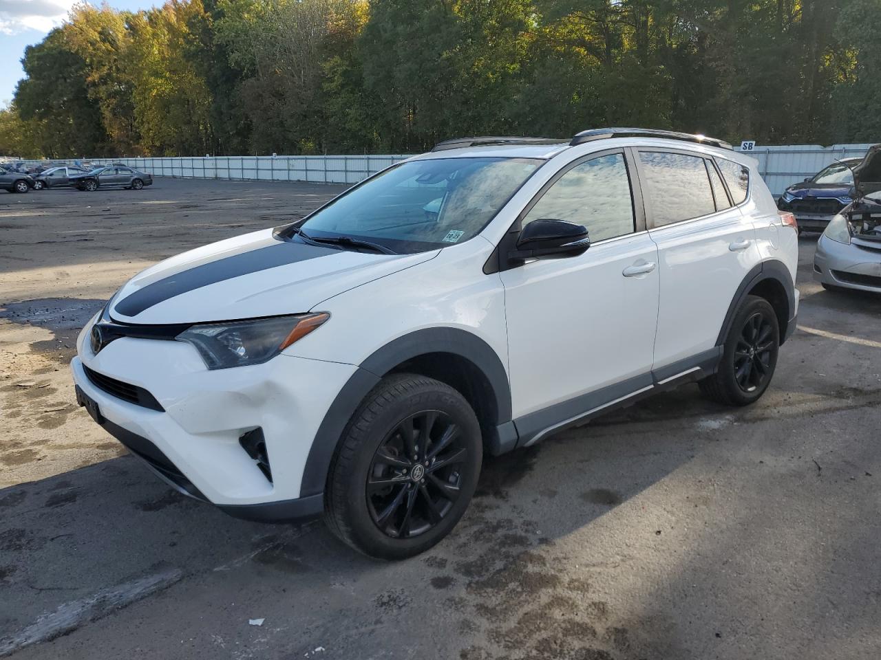 2018 Toyota RAV 4 VIN 2T3RFREV6JW843213