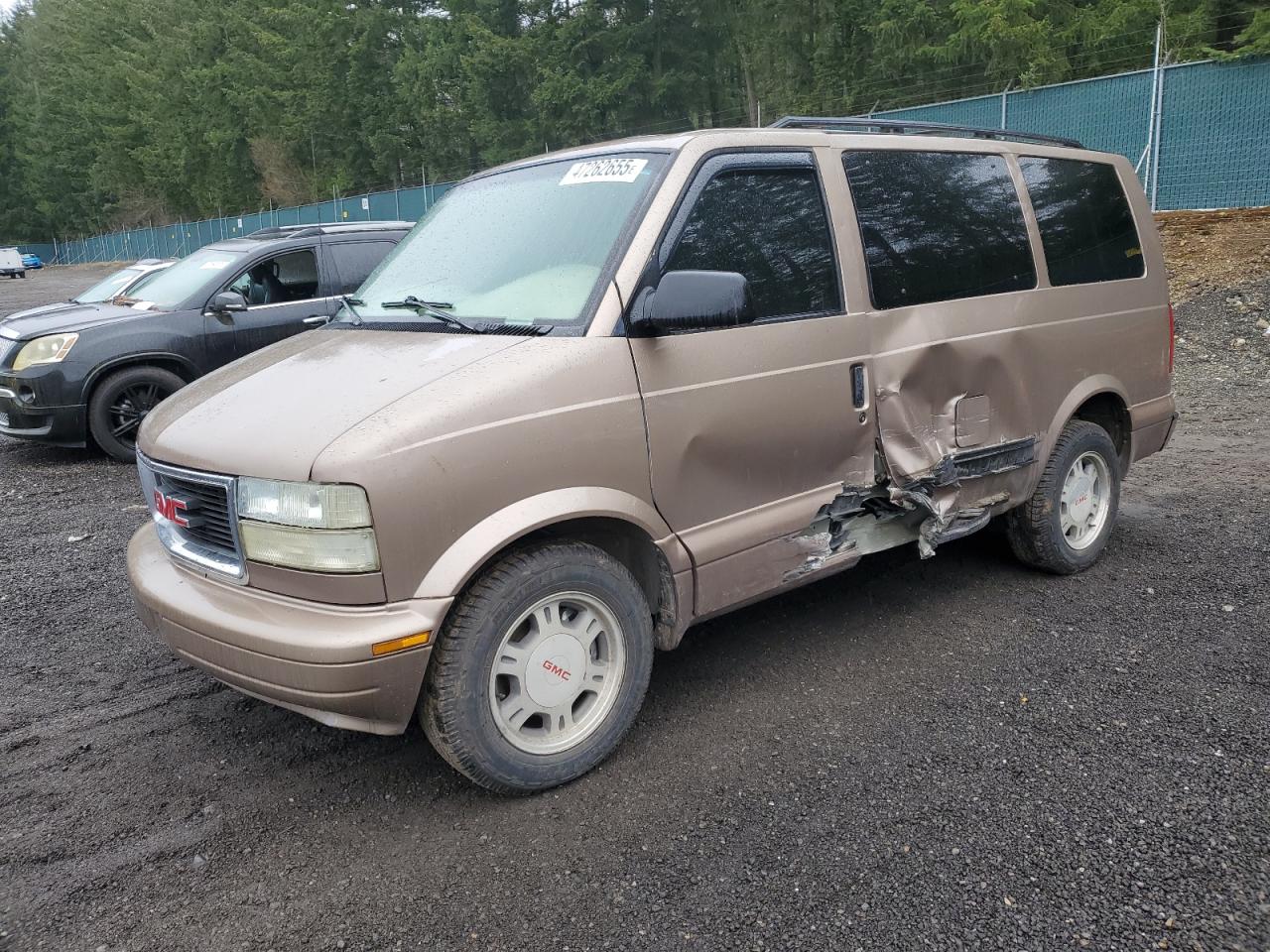 2003 GMC Safari VIN 1GKEL19X43B503725 - Copart auction photo