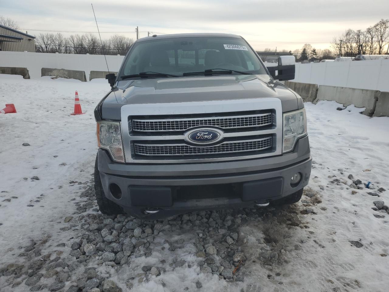 2010 Ford F-150 VIN 1FTFW1EV1AFB65380 Copart auction photo, front end / side damage thumbnail 5