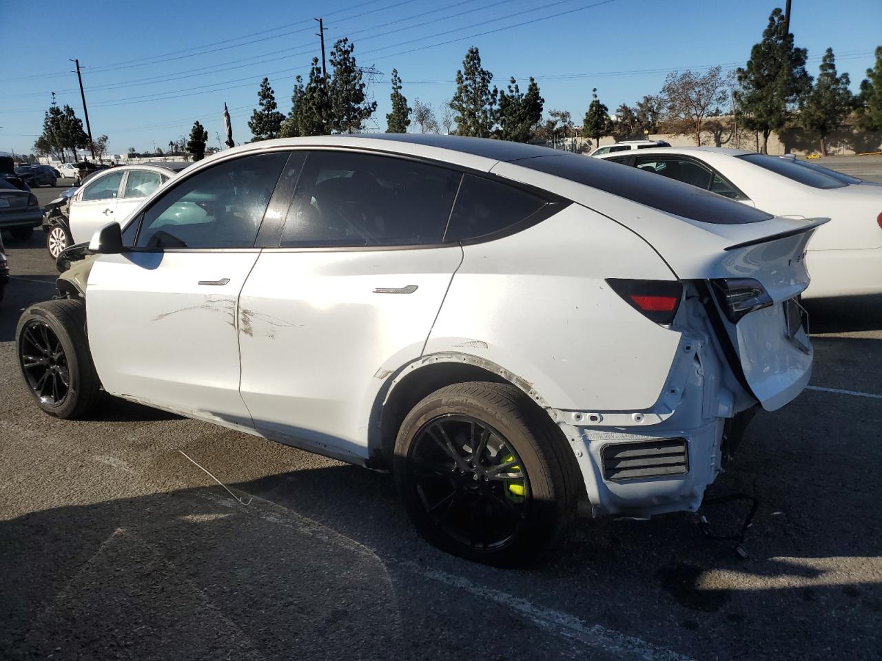 2023 Tesla Model Y VIN 7SAYGDEE4PA107803 Copart auction photo, front end / side damage thumbnail 2