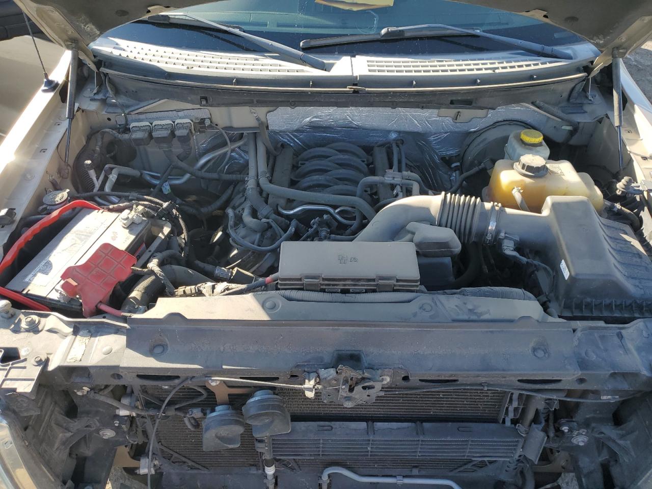2014 Ford F-150 VIN 1FTFW1CF0EKF75774 Copart auction photo, side damage thumbnail 13